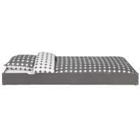 Leen Bakker - Bedlade Ties - Antraciet - Grenenhout - Grijs - 194x17x94 Cm