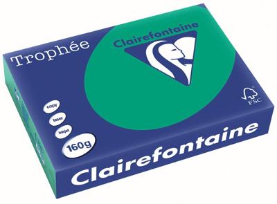 Clairefontaine Trophée Intens, gekleurd papier, A4, 160 g, 250 vel, dennengroen