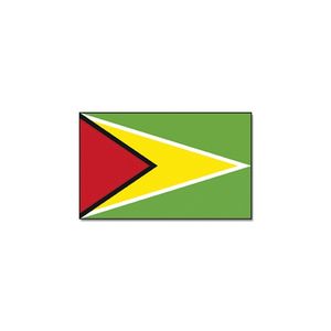 Vlag Guyana 90 x 150 feestartikelen