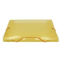 SET 100 TARES DOCUMENT HOLDERS (ORANGE)