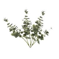 Kunstplant Eucalyptus - 3x - groen - takken - 75 cm