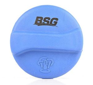 Radiateurdop BSG90551001
