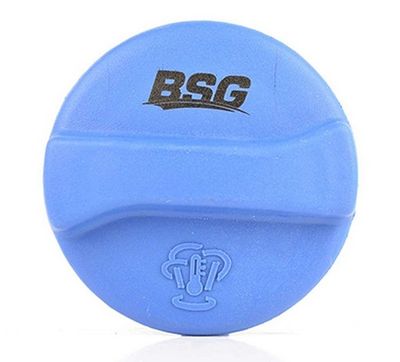 Radiateurdop BSG90551001