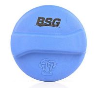Radiateurdop BSG90551001