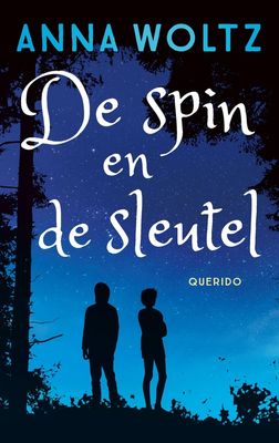 De spin en de sleutel - Anna Woltz - ebook