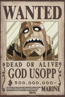 Poster One Piece - Wanted Usopp Wano 38x52cm