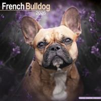 Franse Bulldog Kalender 2026