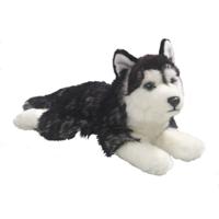 Husky honden knuffel - 32 cm - pluche - liggend - knuffelhond - knuffeldier