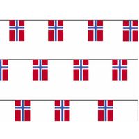3x Papieren vlaggenlijn Noorwegen landen decoratie   -