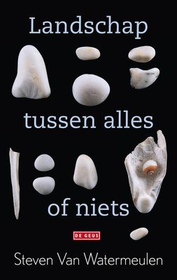 Landschap tussen alles of niets - Steven Van Watermeulen - ebook