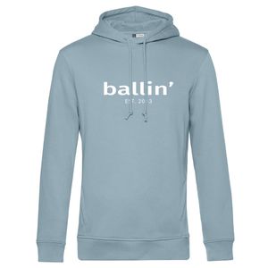 Basic Hoodie