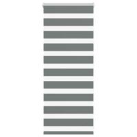 VidaXL Zebra rolgordijn 65x100 cm stofbreedte 60,9 cm donkergrijs