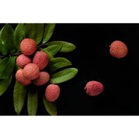 Inductiebeschermer - Lychee - 58x52 cm - thumbnail