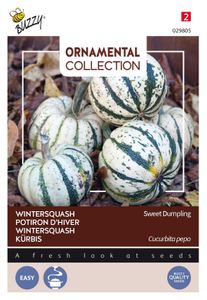 Ornamental wintersquash sweet dumpling - Buzzy