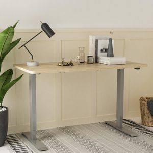 Flexispot EG1 zit sta bureau,elektrisch in de hoogte verstelbaar bureau, grijs, alleen tafelonderstel