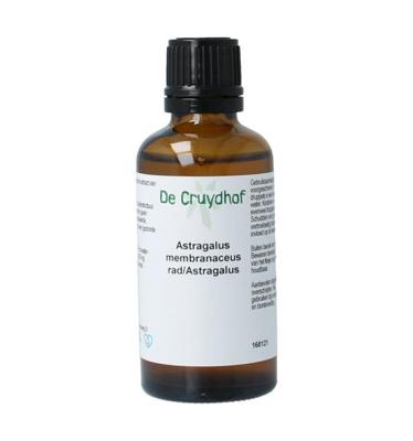 Astragalus membranaceus radix tinctuur
