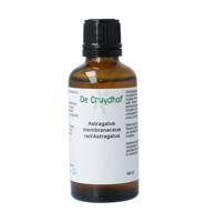 Astragalus membranaceus radix tinctuur