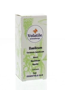 Volatile Basilicum (Ocimum Basilicum) 5ml