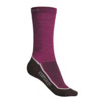 Icebreaker Ski+ Lite Skisok Cranberry/Java/Silver L