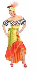 Braziliaanse dame verkleedkleding