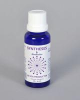 Vita Syntheses 6 bloedsuiker (30 ml)