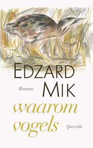 Waarom vogels (Paperback)