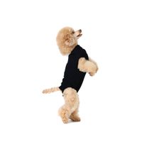 Suitical Recovery Suit Hond - XS - Zwart - thumbnail
