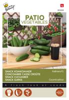 Patio Veggies, Snackkomkommer Kalimero F1 - Buzzy