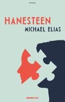 Hanesteen (Paperback)