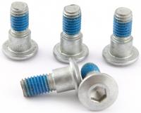 TRW Screw 5pcs. m8x1,25