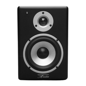 Amadeus VX50 actieve studio monitor