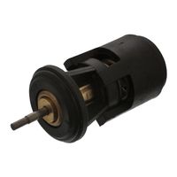 Thermostaat 17902