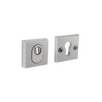 Intersteel VeiligheidsrozetSalus kerntrekbeveiliging aluminium - 0082.375003