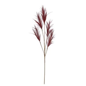 Pluimgras losse steel/tak - meerdere stengels - bordeaux rood - 98 cm - Decoratie kunst pluimen