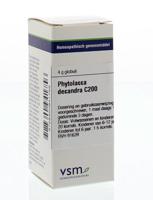 VSM Phytolacca decandra C200 (4 gr)