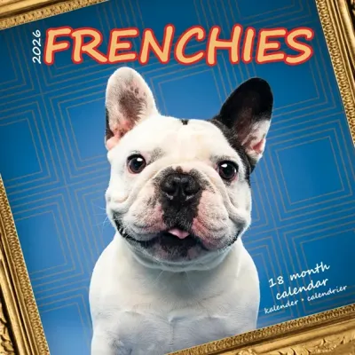 Franse Bulldog Studio Kalender 2026
