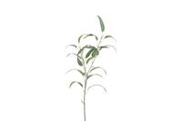 Decostar kunsttak Eucalyptus steel 90 cm wit