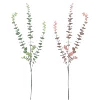 Kunsttak Eucalyptus 78 cm 2 assorti | 24 stuks