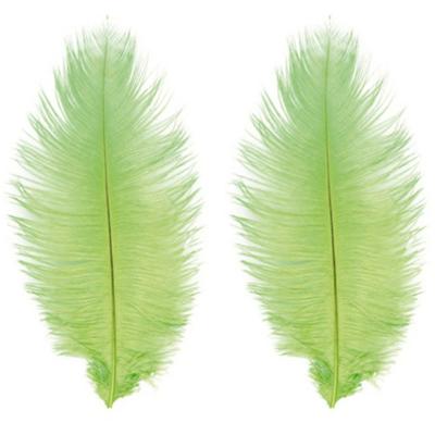 Roetveeg Piet Struisvogelveren - 2x - lime groen - 30-35 cm - Sinterklaas verkleedveer