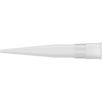 Fischer D100 B 563239 Extrusiemondstuk 5 stuk(s)