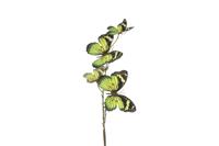 Decostar Countryfield Kunstdeco Vlinder 4 veelkleurig