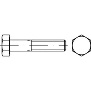TOOLCRAFT TO-9985149 Zeskantbout 100 mm 127 mm Buitenzeskant 83931 Staal 10 stuk(s)
