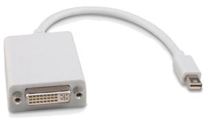 Mini DisplayPort naar DVI adapter