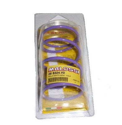 Variateurveer Malossi Piaggio paars