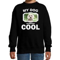 Maltezer honden trui / sweater my dog is serious cool zwart voor kinderen