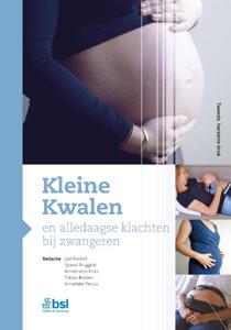 Kleine Kwalen en alledaagse klachten bij zwangeren (Hardback)