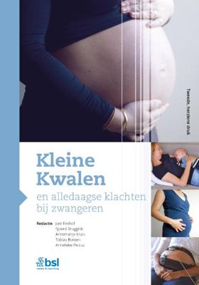 Kleine Kwalen en alledaagse klachten bij zwangeren (Hardback)