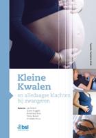 Kleine Kwalen en alledaagse klachten bij zwangeren (Hardback)
