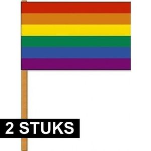 2x Luxe zwaaivlaggen regenboog 30 x 45 cm met houten stok