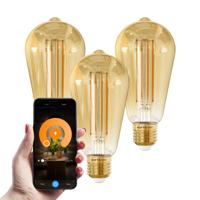 HOFTRONIC SMART Set van 3 Smart E27 LED Filament Lampen - 7 Watt 806 lumen - ST64 Amberkleurig glas - 1800-3000K Dimbaar - Edison lamp